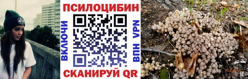 Галлюциногенные грибы MAGIC MUSHROOMS  сайты даркнета наркотические препараты  Устюжна  где найти  